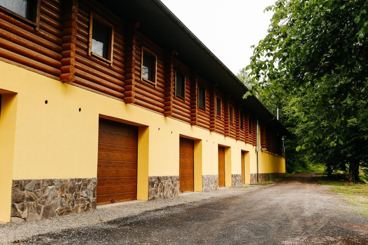 Chudodievo In Chynadievo Mini-Hotel Chynadiyovo ภายนอก รูปภาพ