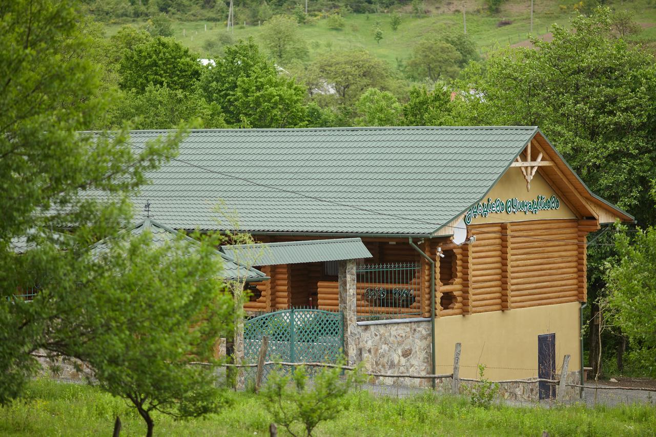 Chudodievo In Chynadievo Mini-Hotel Chynadiyovo ภายนอก รูปภาพ